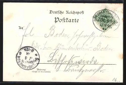 Lithographie Kamenz, Hutberg-Hotel, Postamt, Lessing-Denkmal, 5 gerahmte Ansichten, Wein, Blumenverzierung