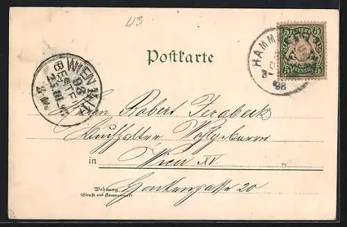 Lithographie Hammelburg, Truppenübungsplatz, Schloss Saaleck, Marktbrunnen