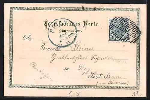 Lithographie Kitzbühler Horn, Panorama mit Glocknerwand, Kitzsteinhorn, Tannblick u. Gr. Blockner, Restauration