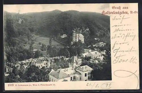 AK Kaltenleutgeben /N.-Ö., Teilansicht aus der Vogelschau