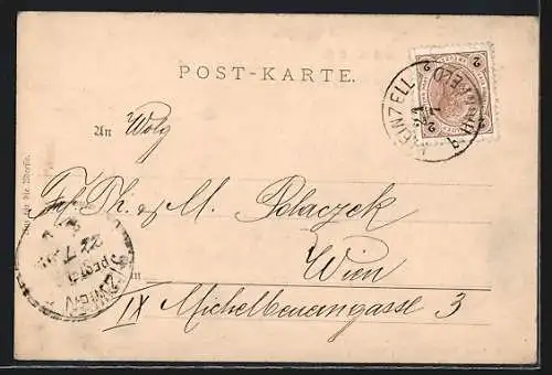 AK Hainfeld /N.-Oe., Salzerbad und Klein-Zell aus der Vogelschau