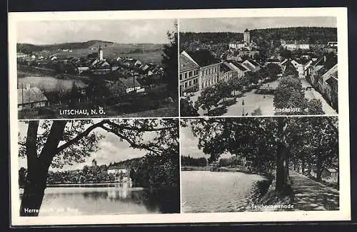 AK Litschau, Stadtplatz, Herrenteich mit Burg