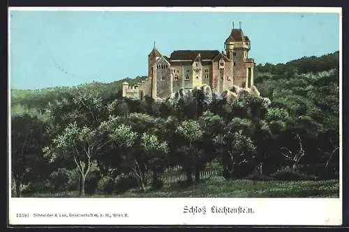 AK Liechtenstein, Blick auf das Schloss