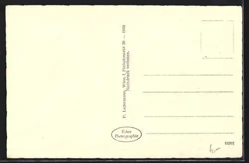 AK Mödling, Teilansicht Burg Liechtenstein