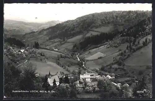 AK Loich /N.-Ö., Gesamtansicht aus der Vogelschau