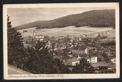 AK Piesting /N.-Oe., Teilansicht mit Kirche