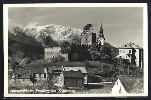 AK Puchberg, Sommerfrische am Schneeberg