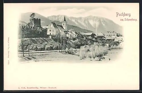 AK Puchberg am Schneeberg, Ortsansicht mit Bergpanorama