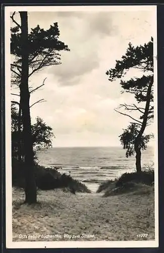 AK Lüchenthin, Ostseebad, Weg zum Strand