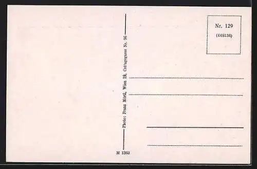 AK Absdorf an der Franz Josefsbahn, Ortspartie bei K. Dinagl`s Gasthaus