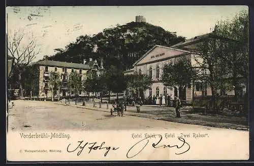 AK Vorderbühl-Mödling, Hotel Hajek und Hotel zwei Raben