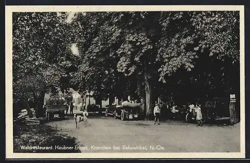 AK Sieghartskirchen, Kronstein, Waldrestaurant Haubner-Erhart mit Hund