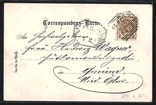 Lithographie Laxenburg, Marianeninsel, Franzensburg und Strassenpartie