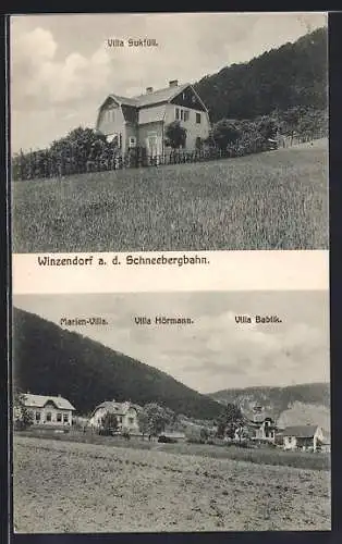 AK Winzendorf a. d. Schneebergbahn, Villa Sukfüll, Marien-Villa, Villa Hörmann, Villa Bablik