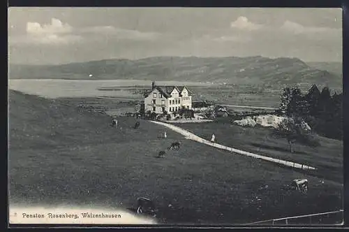 AK Walzenhausen, Pension Rosenberg mit Strasse und See aus der Vogelschau