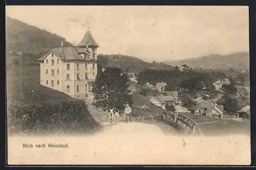 AK Weissbad, Blick nach Weissbad, mit Ziegenhirte