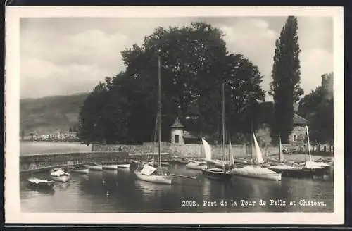 AK La Tour-de-Peilz, Port et Chateau