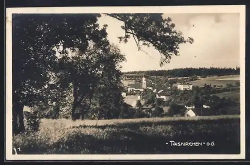 AK Taiskirchen /O.Ö., Ortsansicht von einer Anhöhe aus