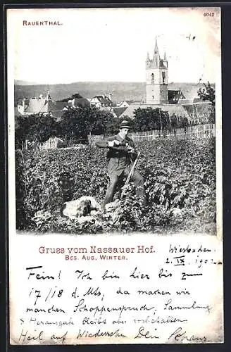 AK Rauenthal, Teilansicht von einem Feld aus, mit Weintrinker und Hund