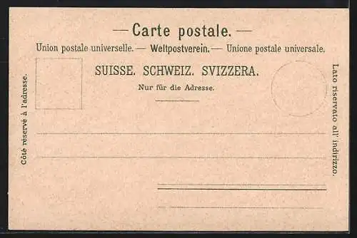 Lithographie Flüela Hospiz, Panorama vom Schwarzhorn, Bergsteiger