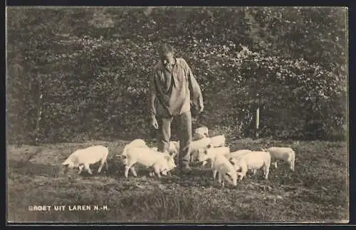 AK Laren /N.-H., Bauer mit Ferkeln