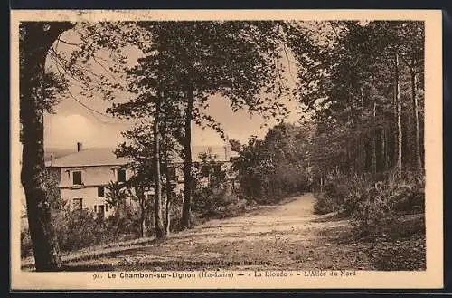 AK Le Chambon-sur-Lignon, La Rionde, L`Allée du Nord