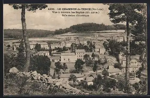 AK Le Chambon-de-Tence, Vue à travers les Sapins, Belle station climatique