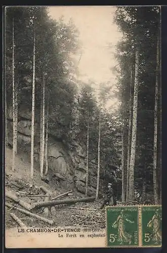 AK Le Chambon-de-Tence, La Forêt en exploitation