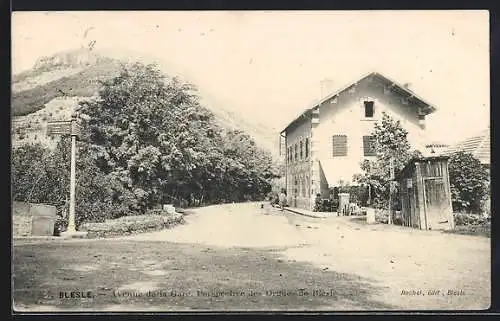 AK Blesle, Avenue de la Gare, perspective des Orgues de Blesle