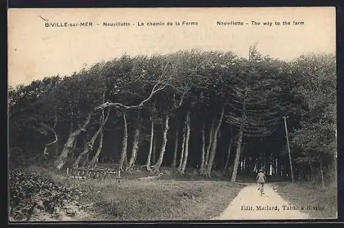 AK Biville-sur-Mer, Neuvilette, Le chemin de la Ferme