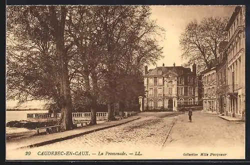 AK Caudebec-en-Caux, La Promenade avec arbres et bâtiments historiques