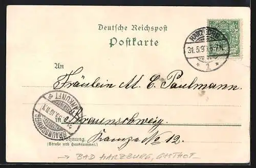 Lithographie Harzburg, Hôtel zum Silberhorn, Eisenstein, Eiche