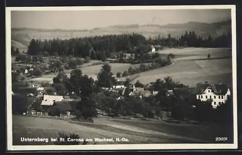 AK St. Corona am Wechsel, Unternberg, Teilansicht mit Bäumen