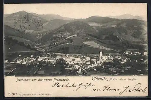 AK Türnitz /N.-Oe., Panorama von der hohen Promenade