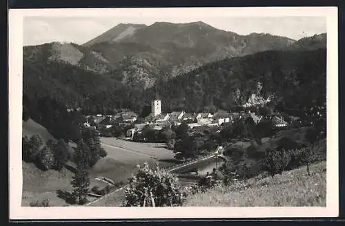 AK Türnitz, Ortspanorama mit Bergen