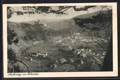 AK Senftenberg im Kremstal, Teilansicht mit Ruine