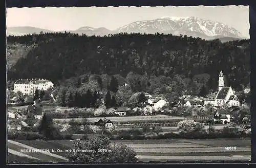 AK Seebenstein /N. Oe., Teilansicht mit Schneeberg