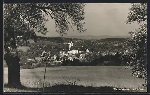 AK Steinakirchen a. Forst, Teilansicht mit Kirche