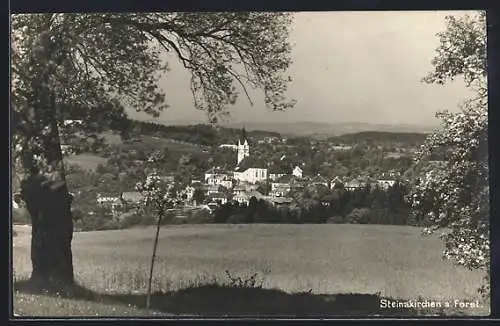 AK Steinakirchen am Forst, Teilansicht mit Kirche