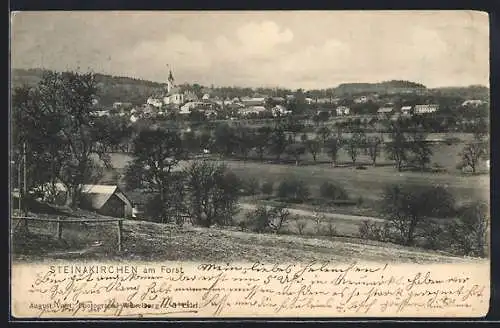 AK Steinakirchen am Forst, Ortsansicht mit Kirche