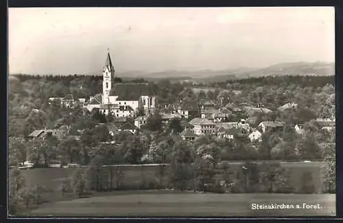 AK Steinakirchen a. Forst, Gesamtansicht