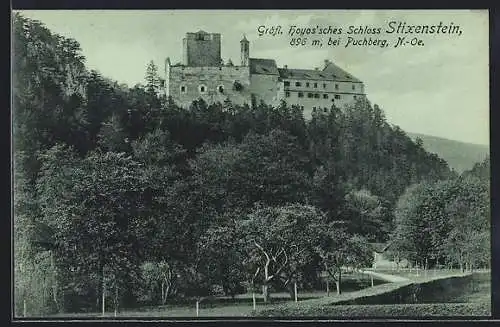 AK Ternitz /N.-Oe., Gräfl. Hoyos`sches Schloss Stixenstein