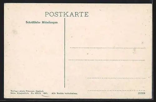 AK Gmünd, Gesamtansicht mit Gebirgskette