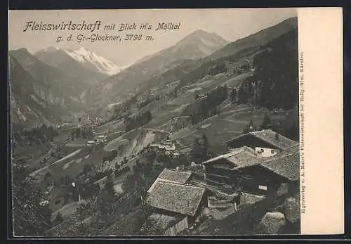 AK Heiligenblut am Grossglockner, Fleisswirtschaft gegen Gr.-Glockner mit Mölltal-Blick