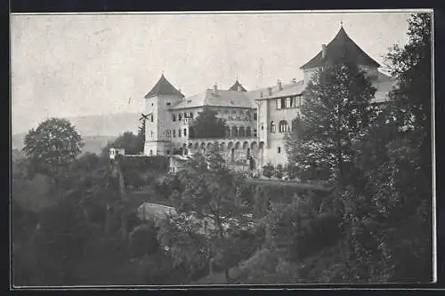 AK Wernberg /Kärnten, Schloss Wernberg