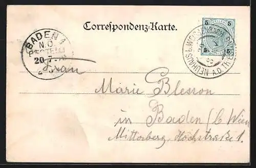 AK Neuhaus /Wienerwald, Flusspartie mit Ruderboot, Ortspartie