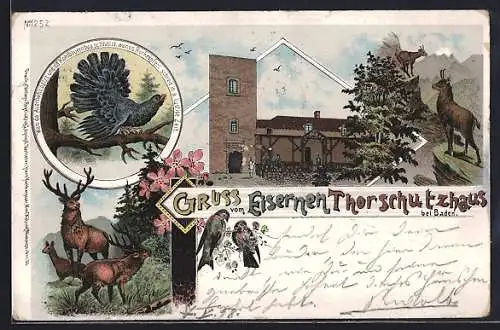 Lithographie Eisernes Tor-Schutzhaus, Auerhahn und Hirsche im Wald