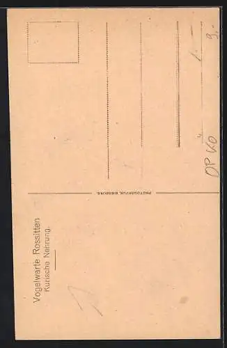 Künstler-AK Pillkoppen /Kurische Nehrung, Auf der Hohen Düne