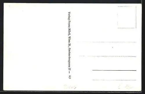 AK St. Oswald bei Freistadt, Bad Maria Bründl, Strassenpartie, Gesamtansicht, Teichmotiv mit Schloss