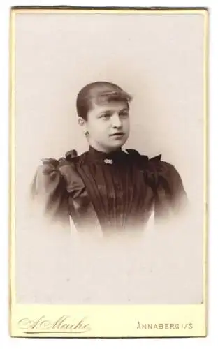 Fotografie A. Meiche, Annaberg, Zickzackpromenade, Portrait einer jungen Frau in elegantem Kleid